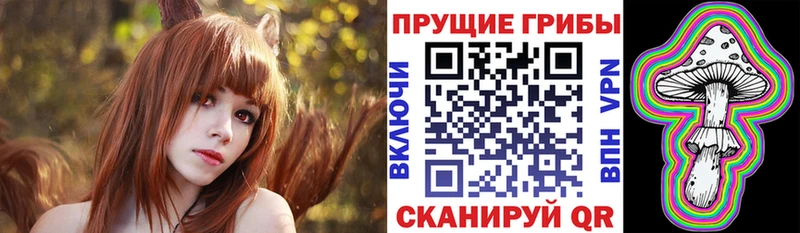 OMG tor  Змеиногорск  Псилоцибиновые грибы GOLDEN TEACHER 
